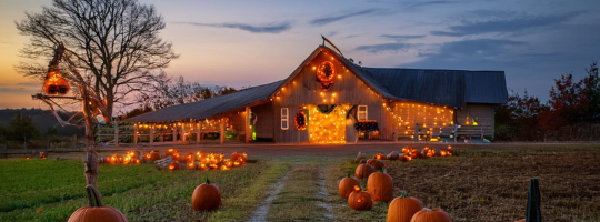 Zo maak jij jouw huis klaar voor Halloween!